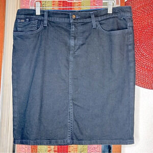 Joe’s Jeans Navy Blue Denim Skirt Size 31